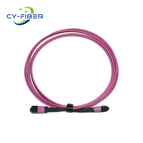 OM4 16芯MPO/MTP® UPC（母頭）轉MPO/MTP® UPC（母頭）多模光纖跳線，極性B