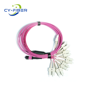 OM4 16芯MPO/MTP®-16 APC（母頭）轉(zhuǎn)8 SC雙工 UPC 多模分支跳線 極性B