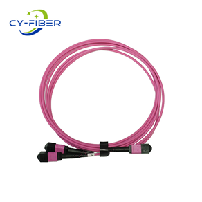 OM4 24芯MPO/MTP® UPC（母頭）轉(zhuǎn)2xMPO/MTP® UPC（母頭）多模轉(zhuǎn)換跳線，極性B